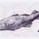 Illustration for article titled The Designs Norway Rejected For Its New Banknotes Are Amazing